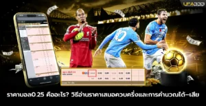 ราคาบอล0.25 UFA333 คืออะไร