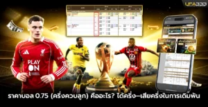 ราคาบอล0.75 (ครึ่งควบลูก) คืออะไร