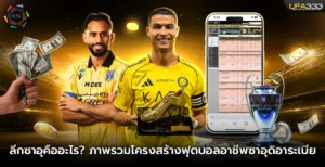 ลีกซาอุคืออะไร