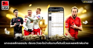 แทงบอลลีกเยอรมัน ต้องระวังอะไรบ้าง